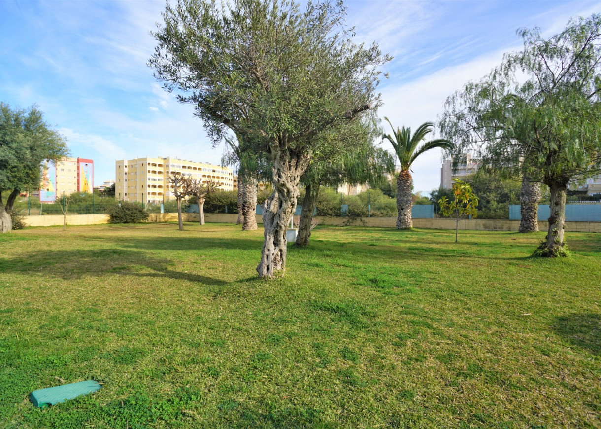 Revente - Duplex - Torrevieja - Torreblanca