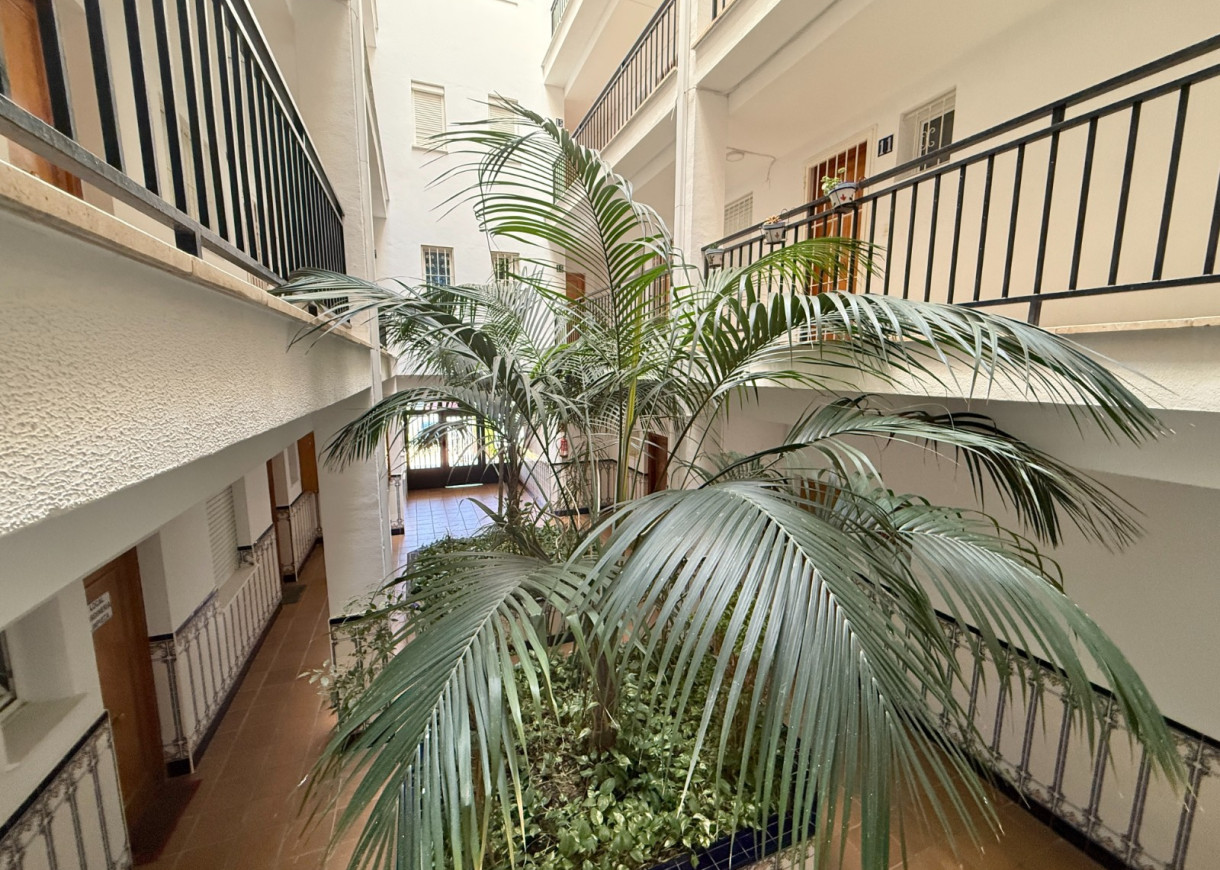 Location longue durée - Appartement - Torrevieja - Torreblanca