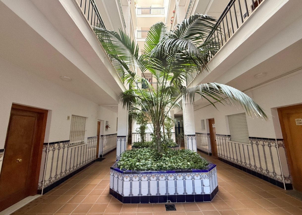 Location longue durée - Appartement - Torrevieja - Torreblanca