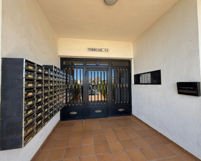 Location longue durée - Appartement - Torrevieja - Torreblanca