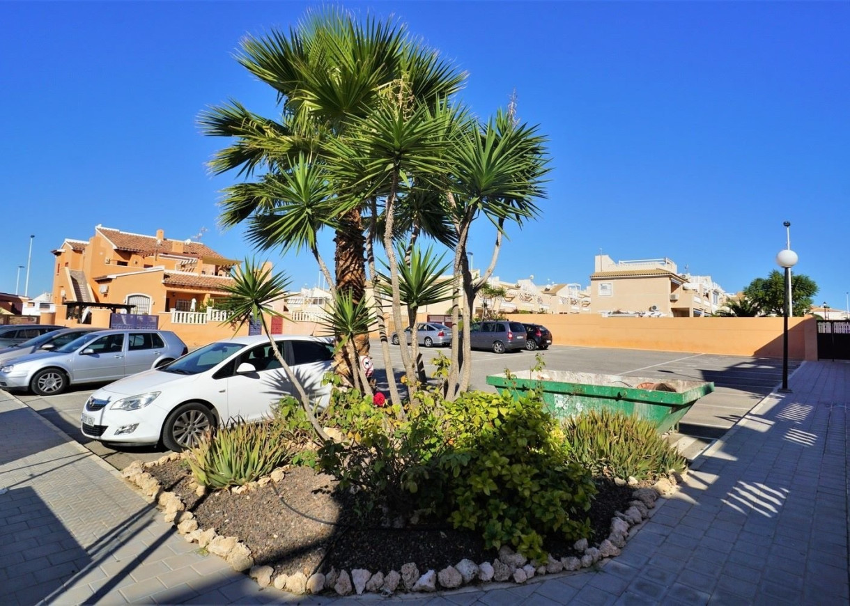 Long time Rental - Lägenhet - Torrevieja - Aguas Nuevas