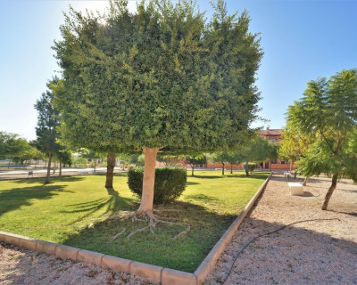 Long time Rental - Lägenhet - Torrevieja - Aguas Nuevas