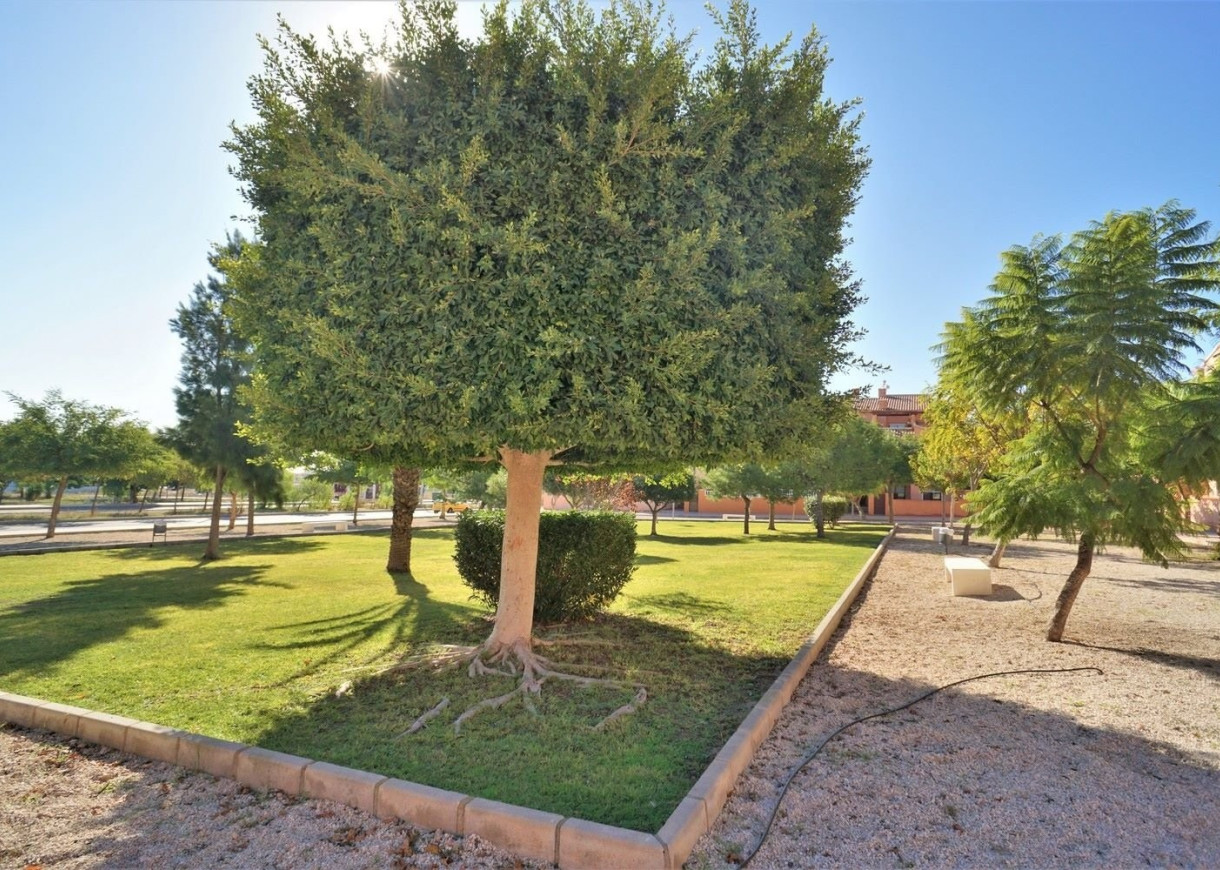 Long time Rental - Lägenhet - Torrevieja - Aguas Nuevas