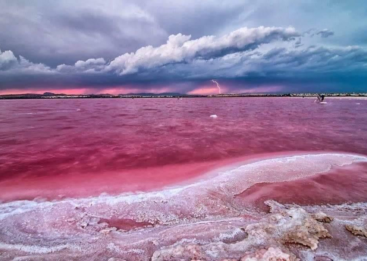 New Build - Penthouse - Torrevieja - Centro