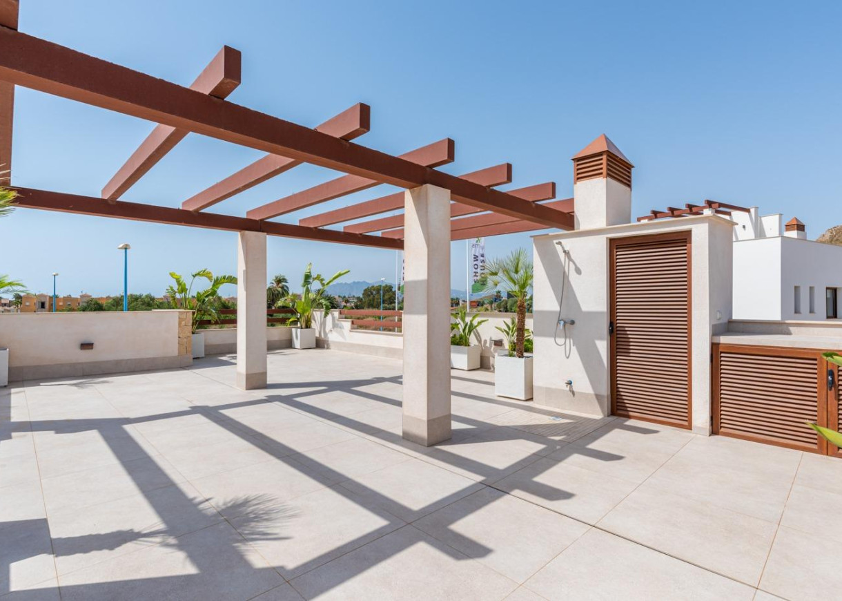 New Build - Villa - Vera - Vera playa