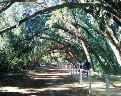 New Build - Bungalow - Torrevieja - Altos del Sol