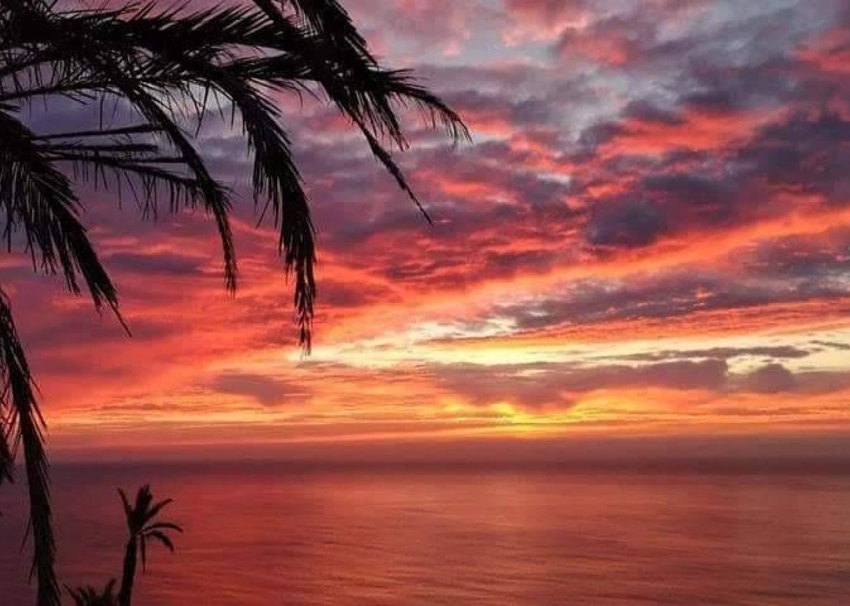 New Build - Bungalow - Torrevieja - Altos del Sol