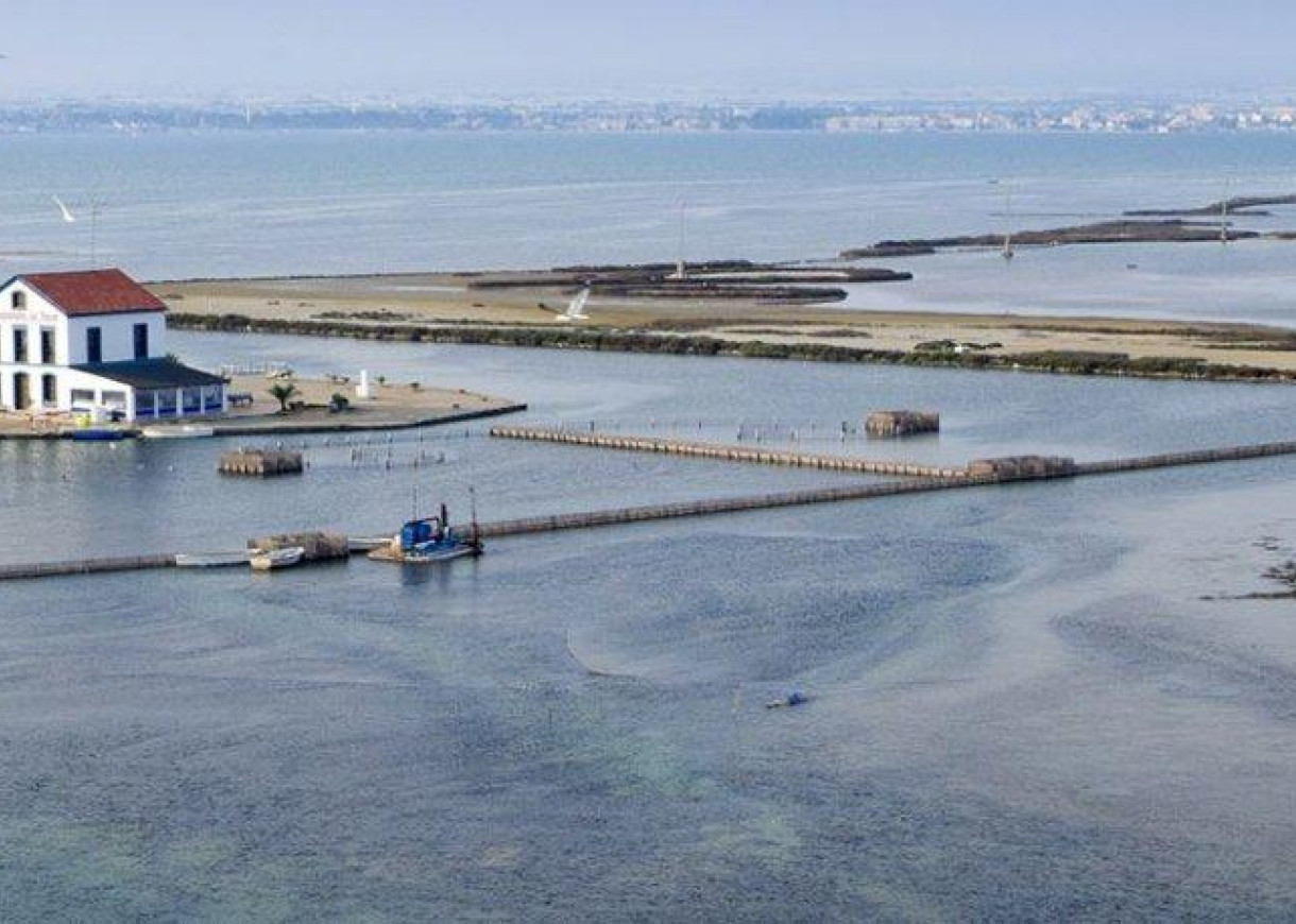 New Build - Villa - San Pedro del Pinatar - CENTRO