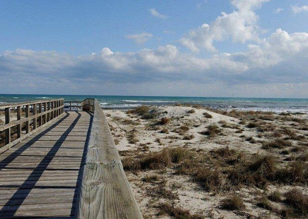 New Build - Villa - San Pedro del Pinatar - CENTRO