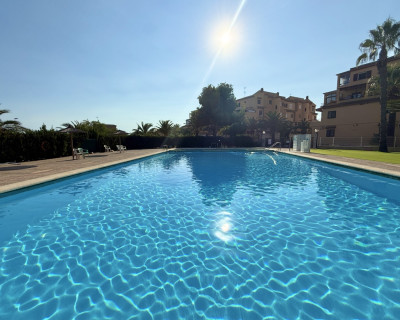 Location longue durée - Appartement - Torrevieja - Torreblanca