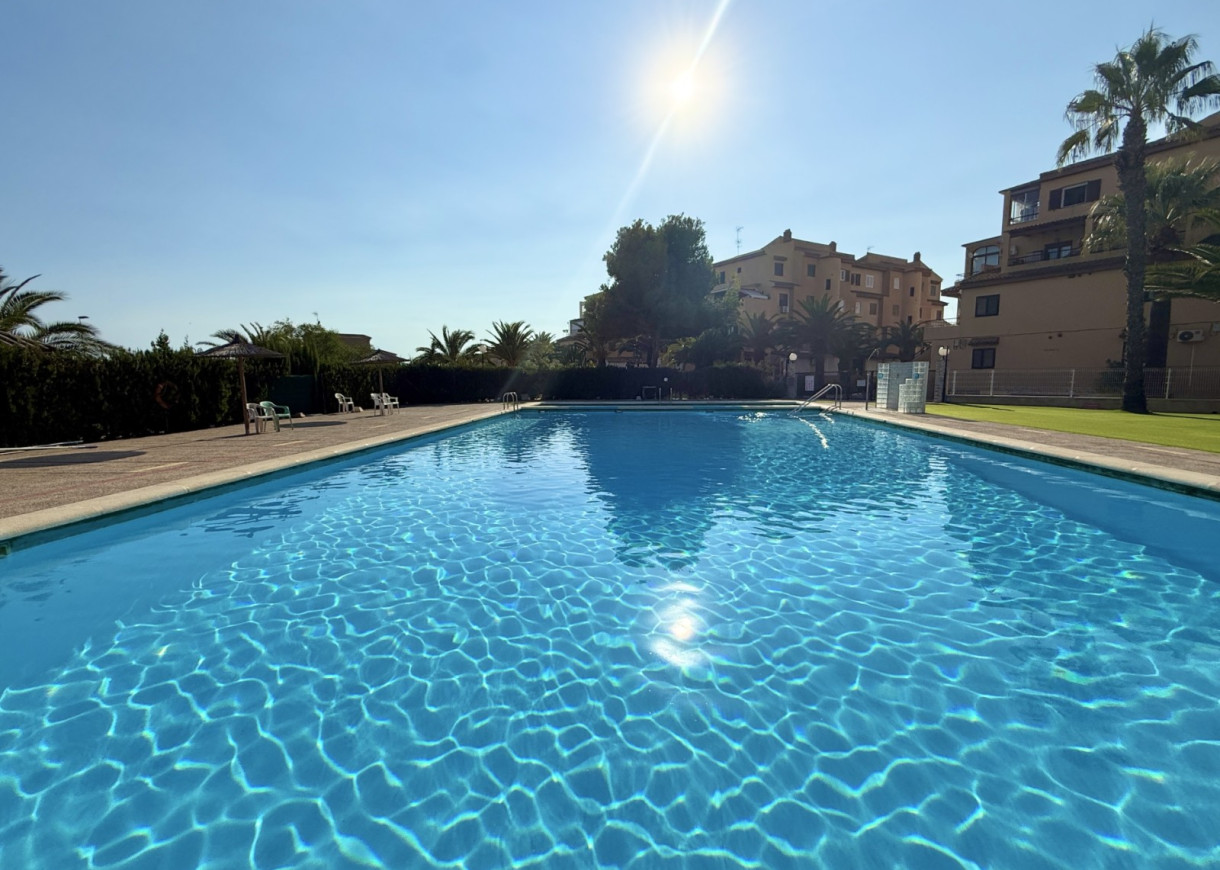 Location longue durée - Appartement - Torrevieja - Torreblanca