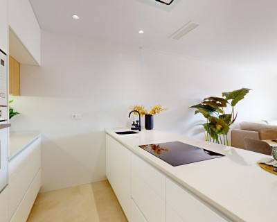 New Build - Penthouse - Guardamar del Segura - EL RASO