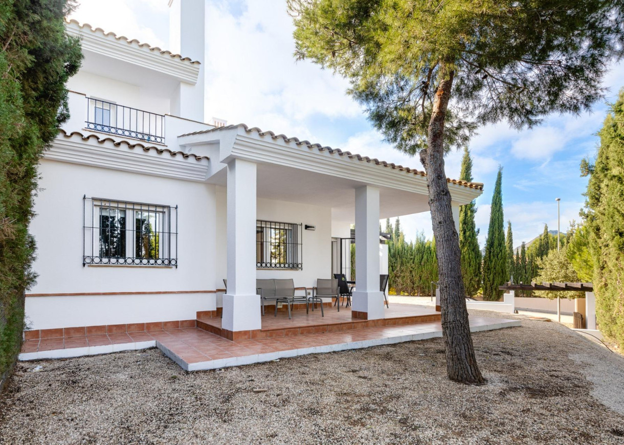 New Build - Stadshus - Fuente alamo de Murcia - LAS PALAS