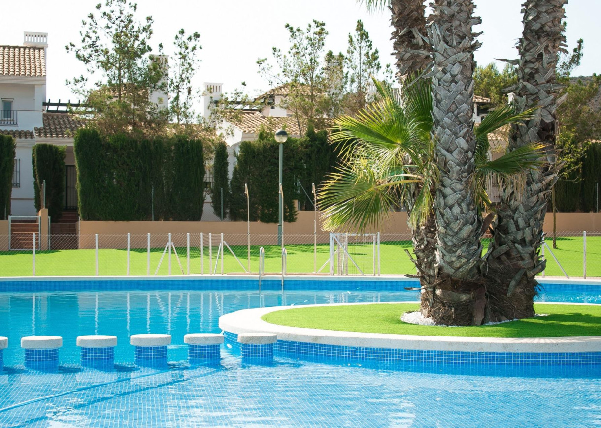 New Build - Stadshus - Fuente alamo de Murcia - LAS PALAS