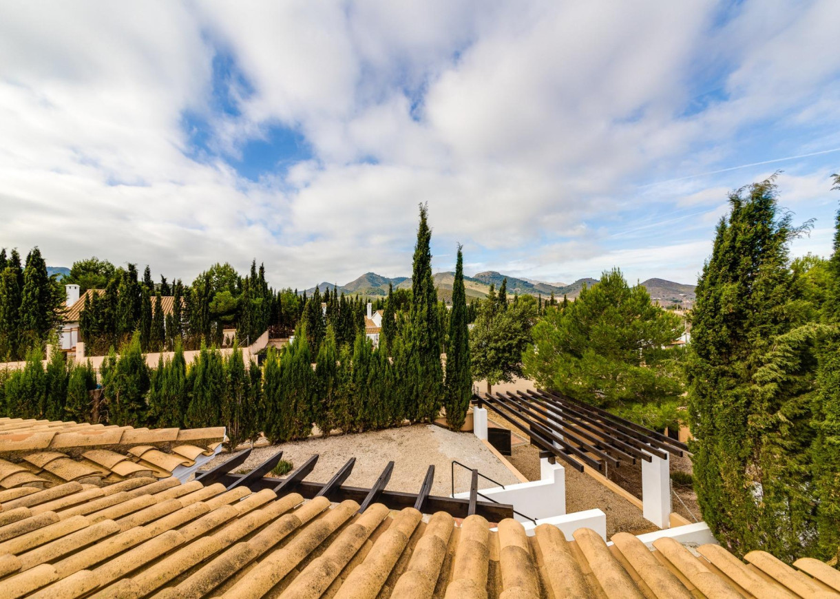 New Build - Stadshus - Fuente alamo de Murcia - LAS PALAS