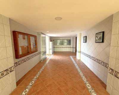 Long time Rental - Apartment - Torrevieja - Torreblanca