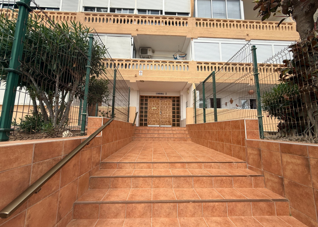 Long time Rental - Apartment - Torrevieja - Torreblanca