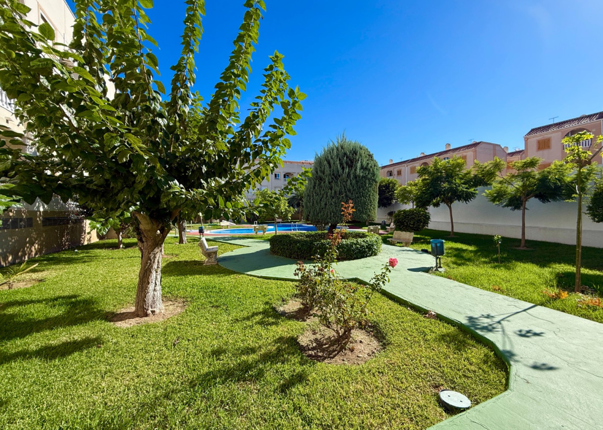Long time Rental - Lägenhet - Torrevieja - Playa del Acequión