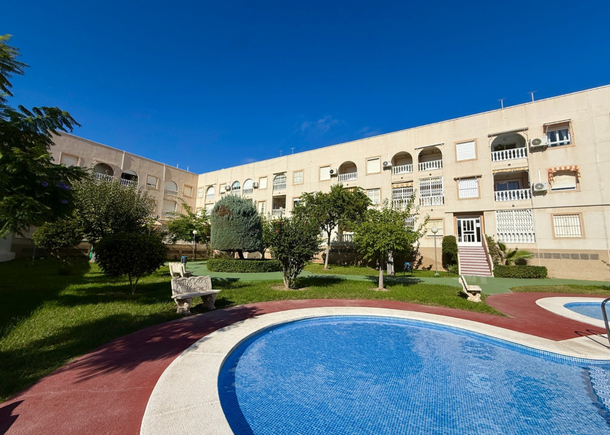 Long time Rental - Lägenhet - Torrevieja - Playa del Acequión