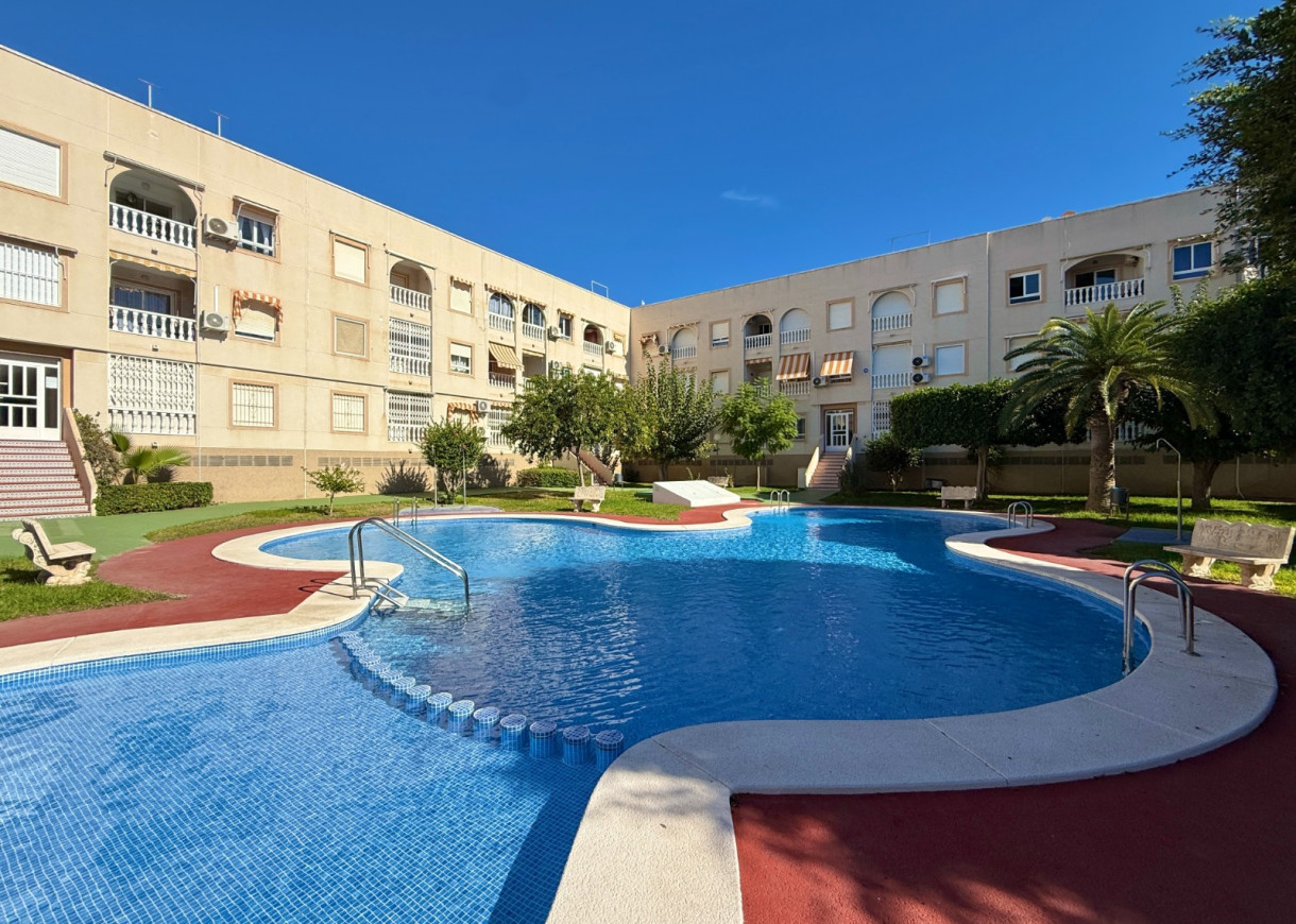 Long time Rental - Lägenhet - Torrevieja - Playa del Acequión