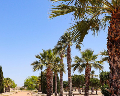 New Build - Villa - San Fulgencio - La Escuera