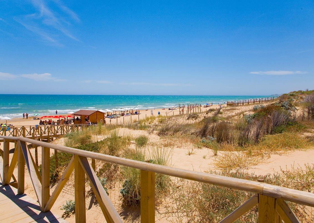 Nouvelle construction - Penthouse - Guardamar del Segura - Pueblo