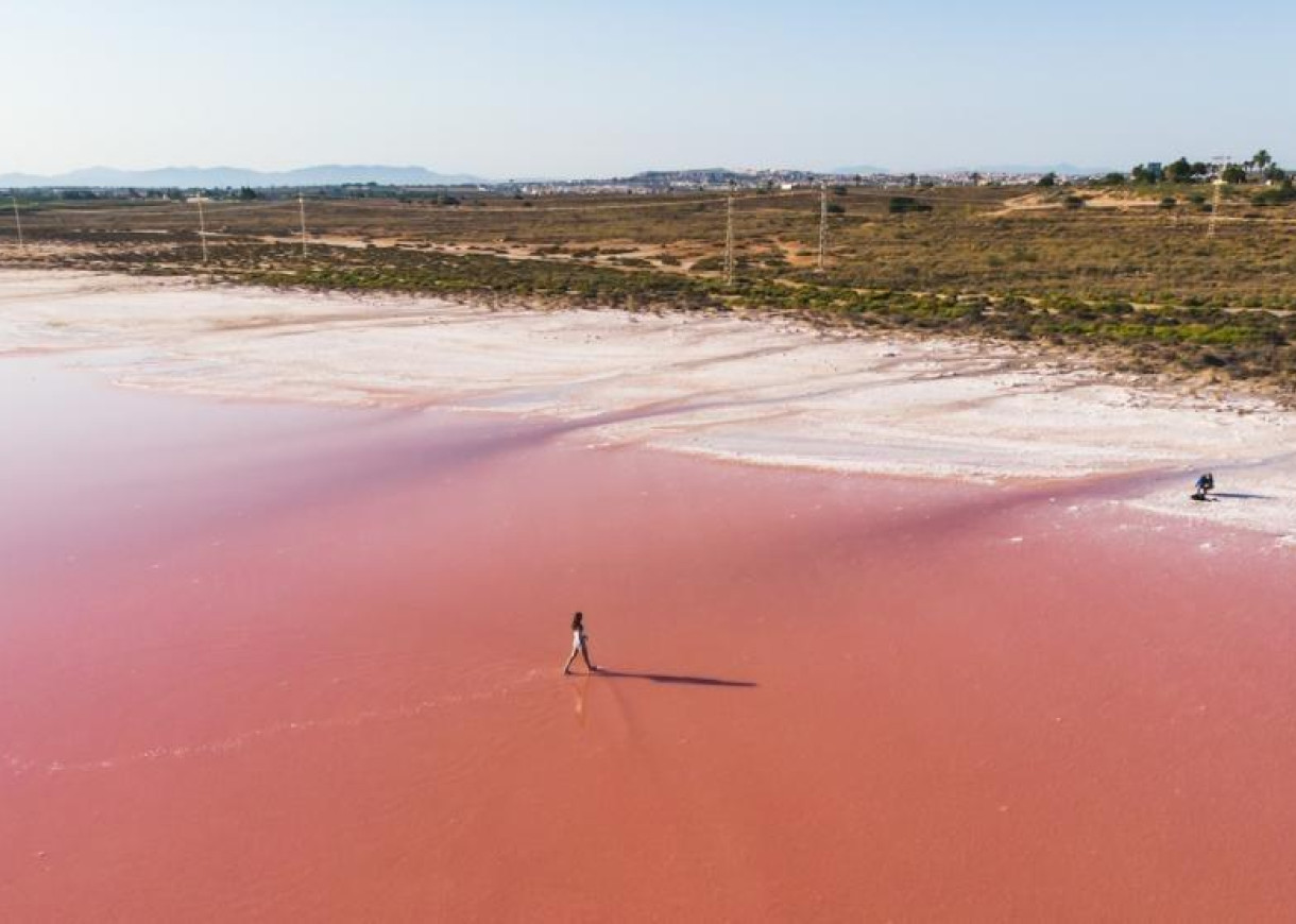 New Build - Lägenhet - Torrevieja - Habaneras