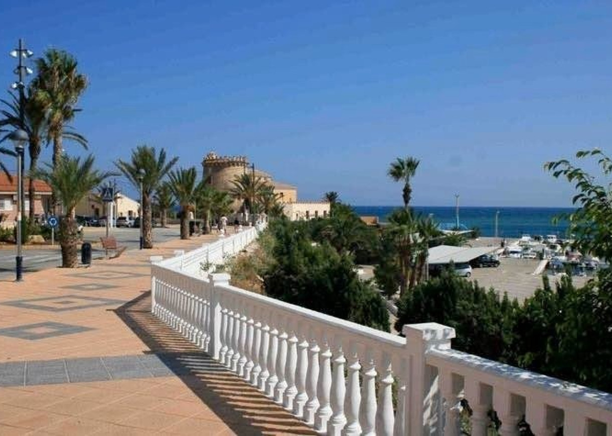 New Build - Villa - Pilar de la Horadada - pueblo