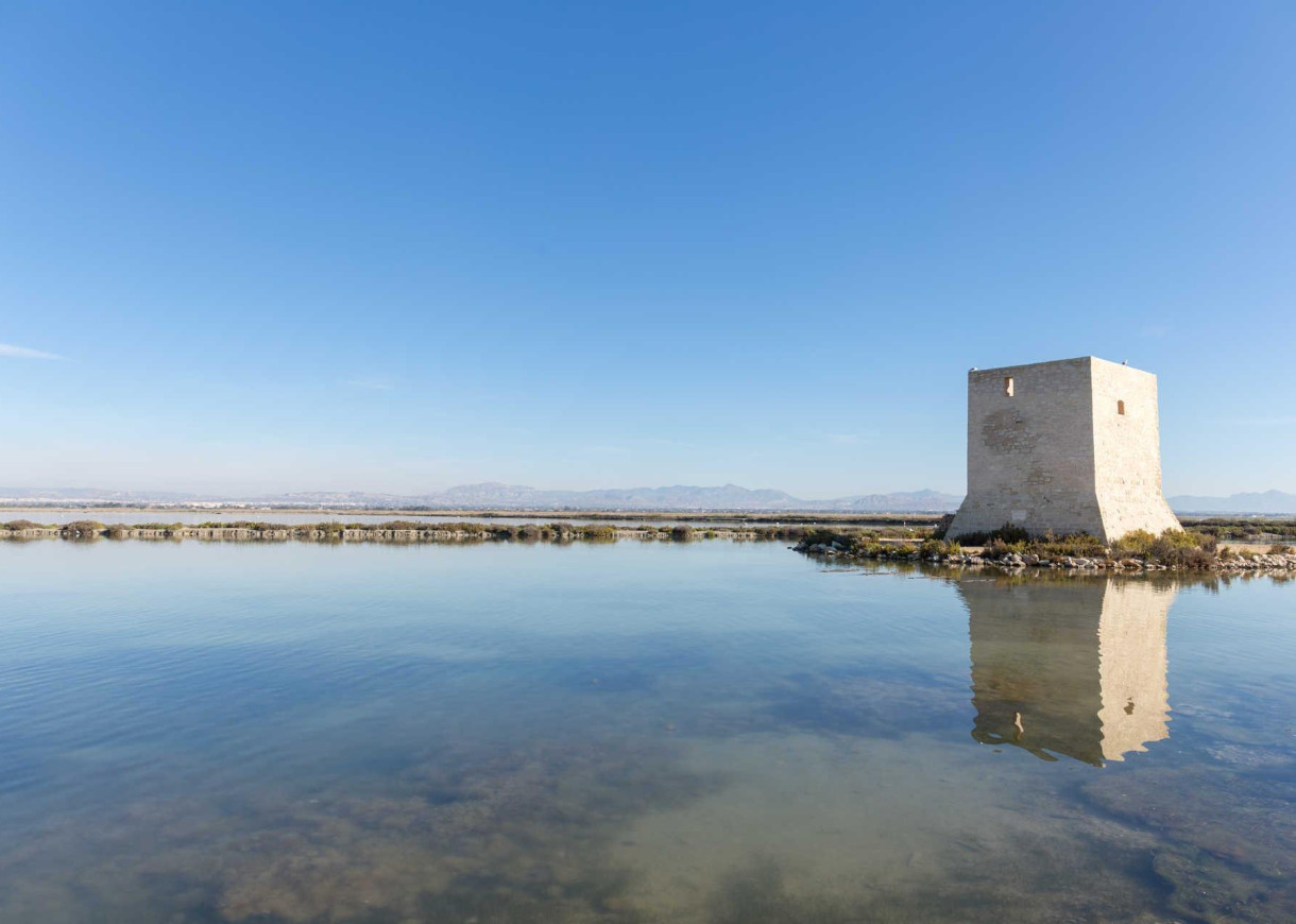 New Build - Lägenhet - Santa Pola - Estacion de autobuses
