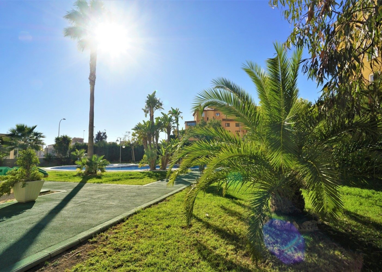 Long time Rental - Apartment - Torrevieja - Torreblanca