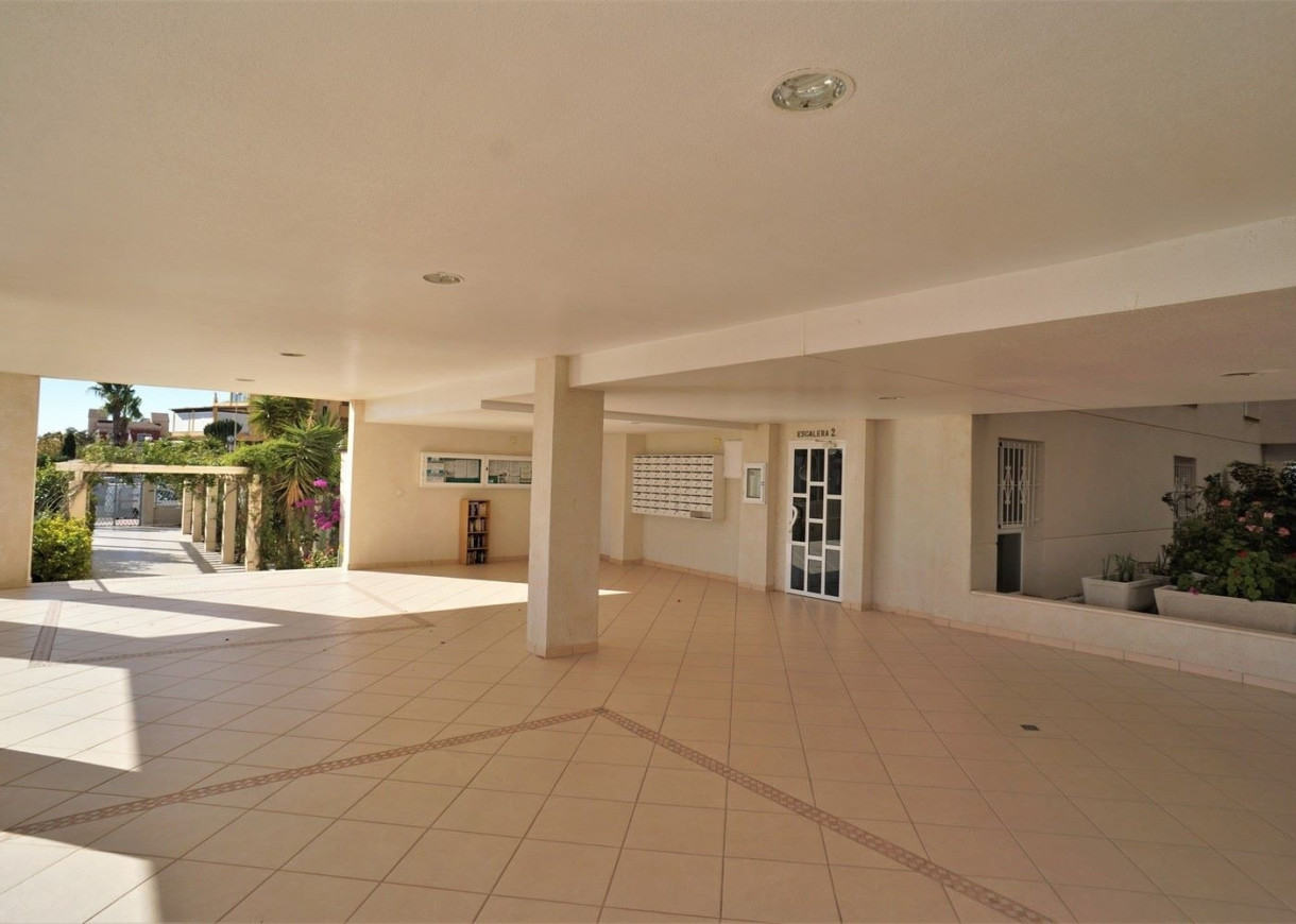 Long time Rental - Apartment - Torrevieja - Torreblanca