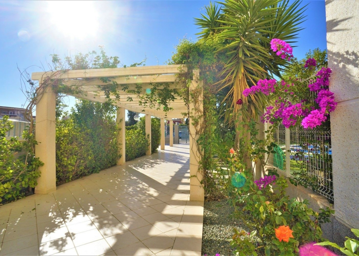 Long time Rental - Apartment - Torrevieja - Torreblanca