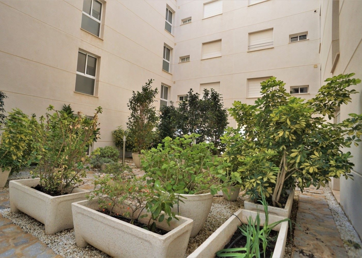 Long time Rental - Apartment - Torrevieja - Torreblanca