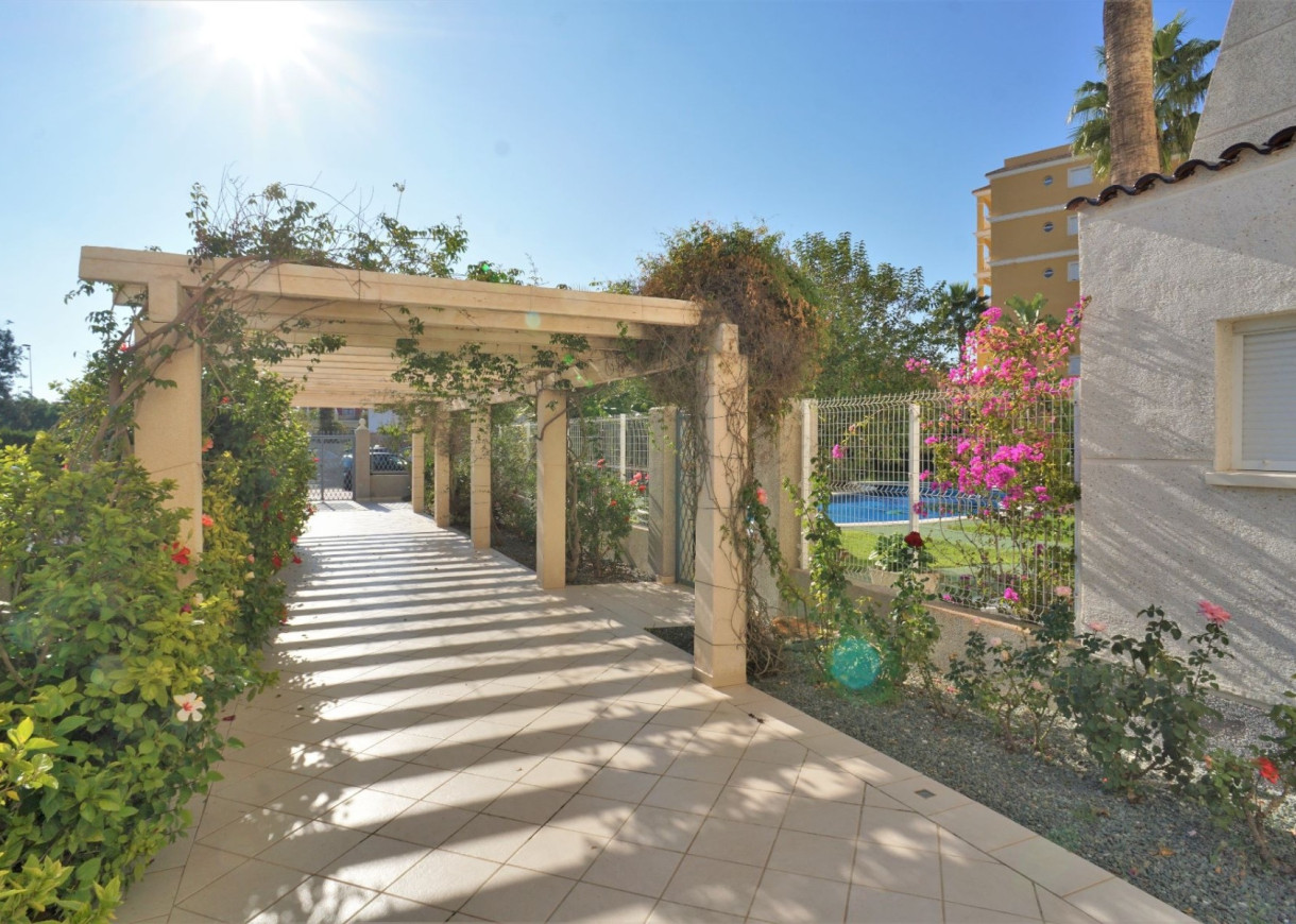 Long time Rental - Apartment - Torrevieja - Torreblanca