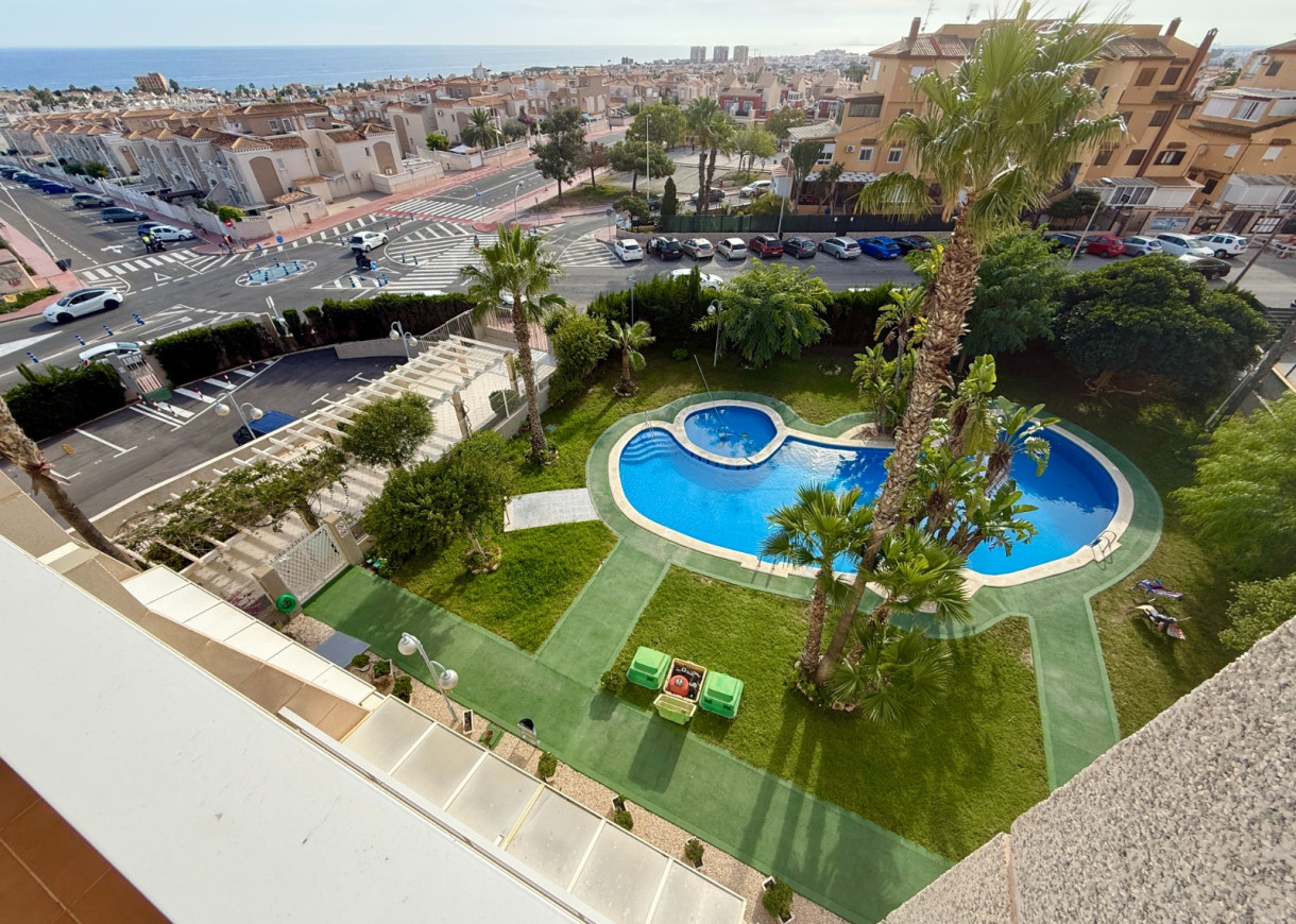 Long time Rental - Apartment - Torrevieja - Torreblanca