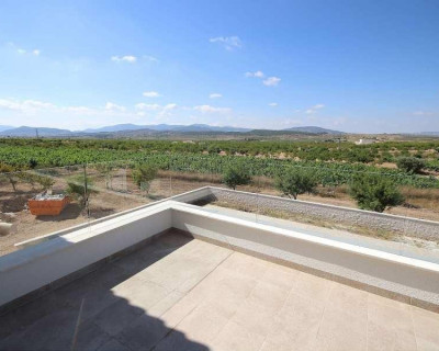 New Build - Villa - Pinoso - Camino Del Prado