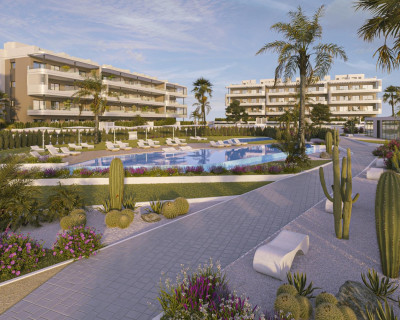 New Build - Penthouse - Torrevieja - La Hoya