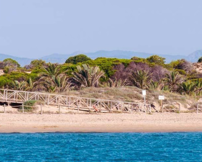 Nouvelle construction - Penthouse - Guardamar del Segura - Pueblo