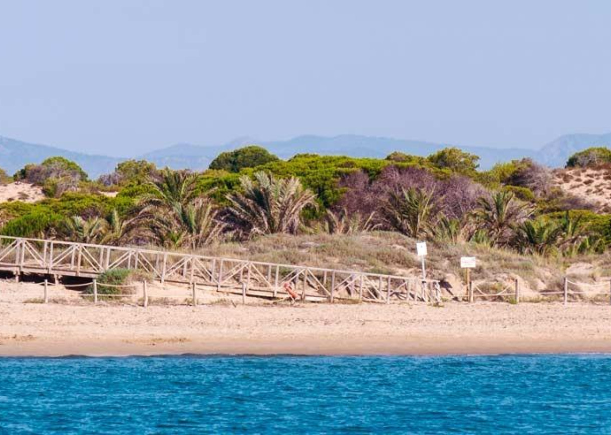 New Build - Penthouse - Guardamar del Segura - Pueblo