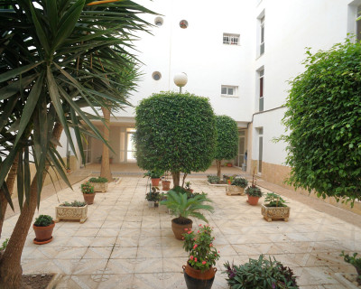 Long time Rental - Lägenhet - Torrevieja - Torreblanca