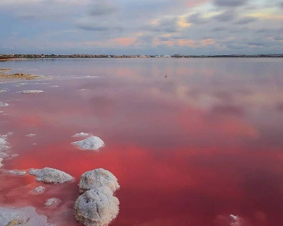 New Build - Bungalow - Torrevieja - Lago Jardín II