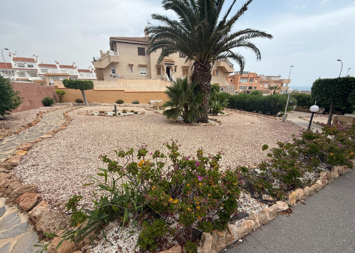 Alquiler a largo plazo - Apartamento - Torrevieja - Torreblanca