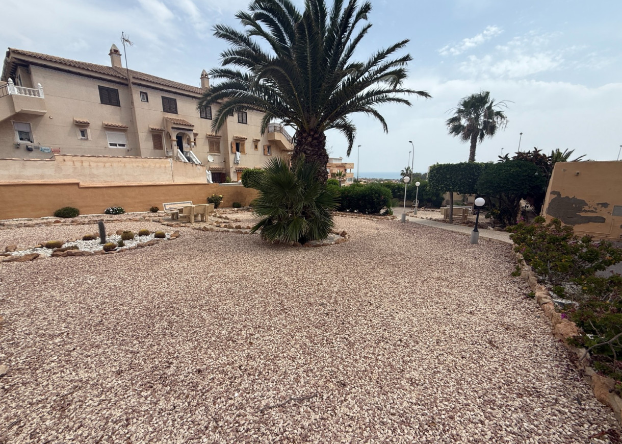 Alquiler a largo plazo - Apartamento - Torrevieja - Torreblanca