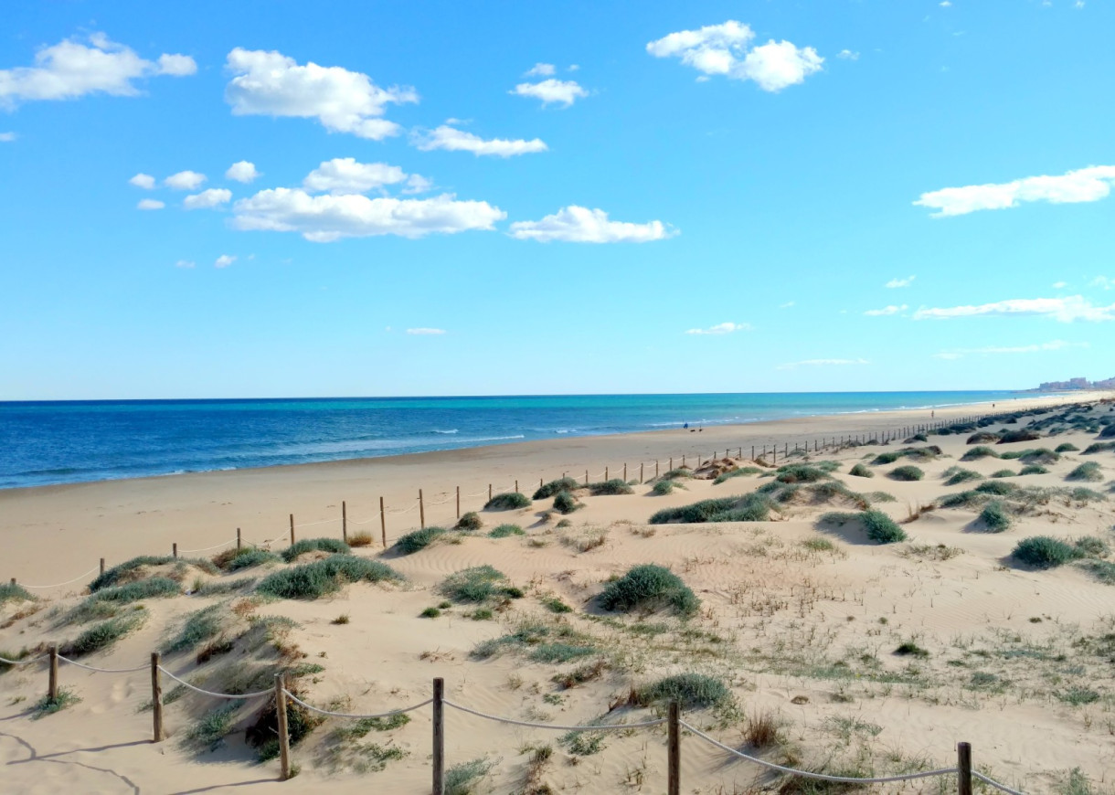 Location longue durée - Appartement - Torrevieja - La Mata