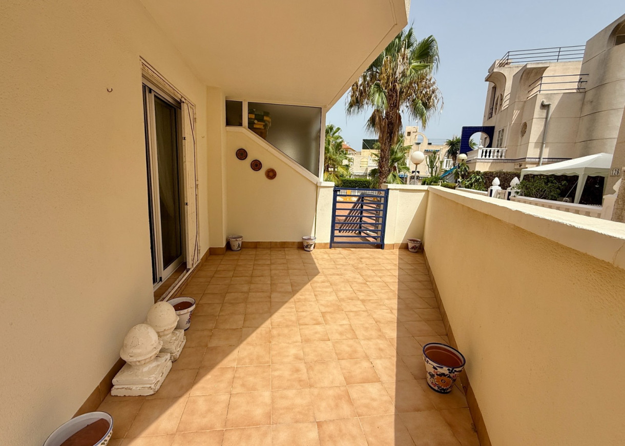 Location longue durée - Appartement - Torrevieja - La Mata