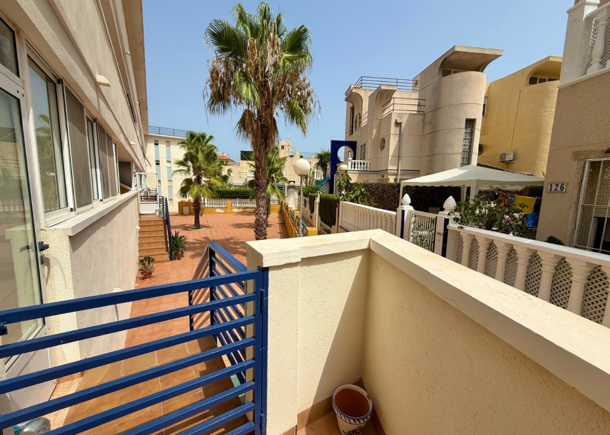 Location longue durée - Appartement - Torrevieja - La Mata