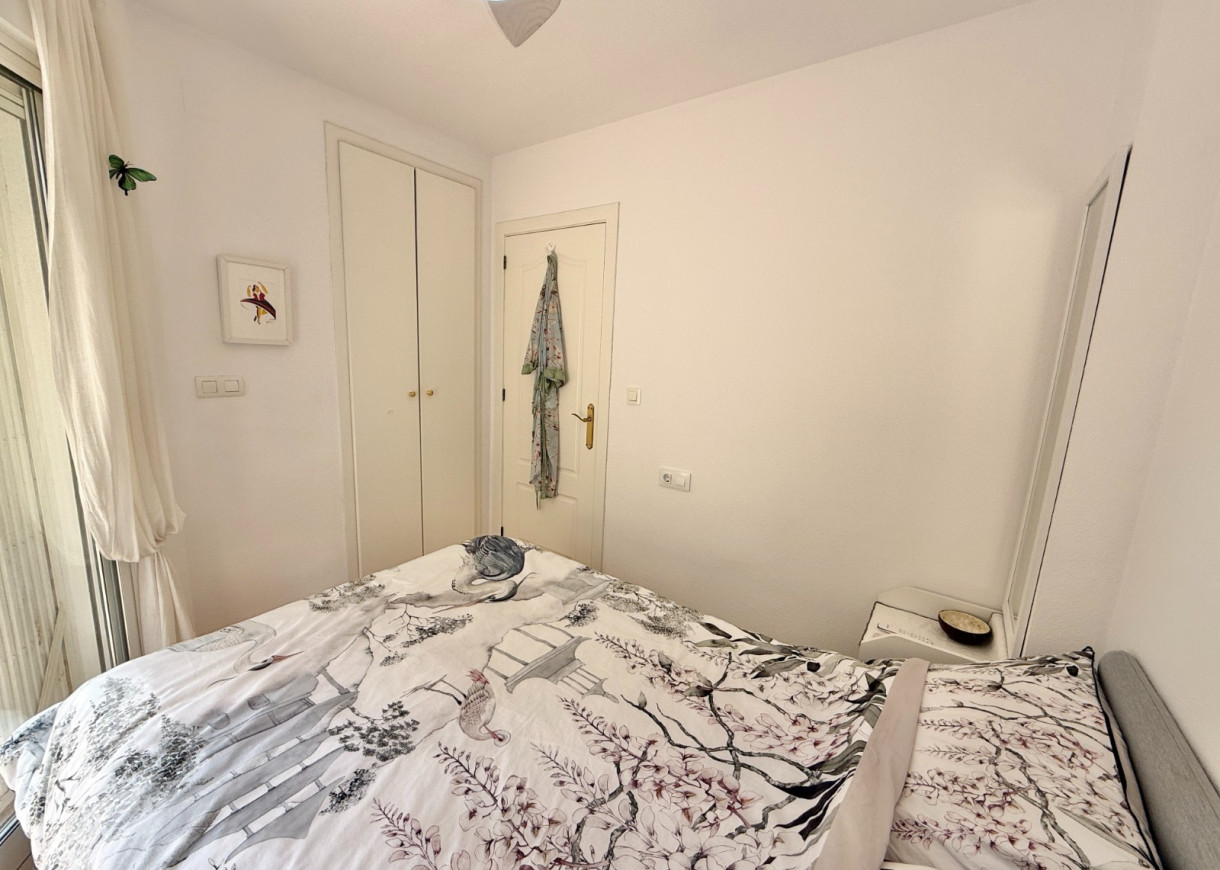 Location longue durée - Appartement - Torrevieja - La Mata