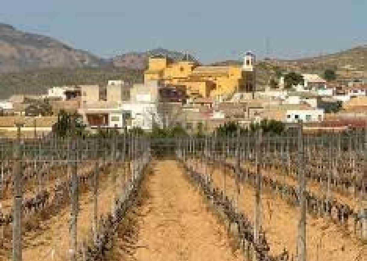 Nueva construcción  - Bungalow - Hondón de las Nieves - Canalosa