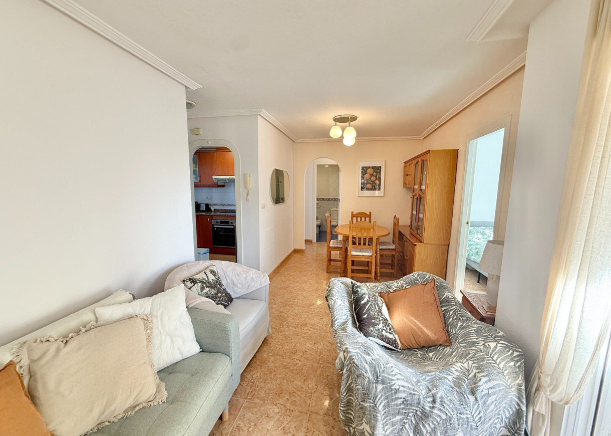 Long time Rental - Apartment - Torrevieja - La Mata