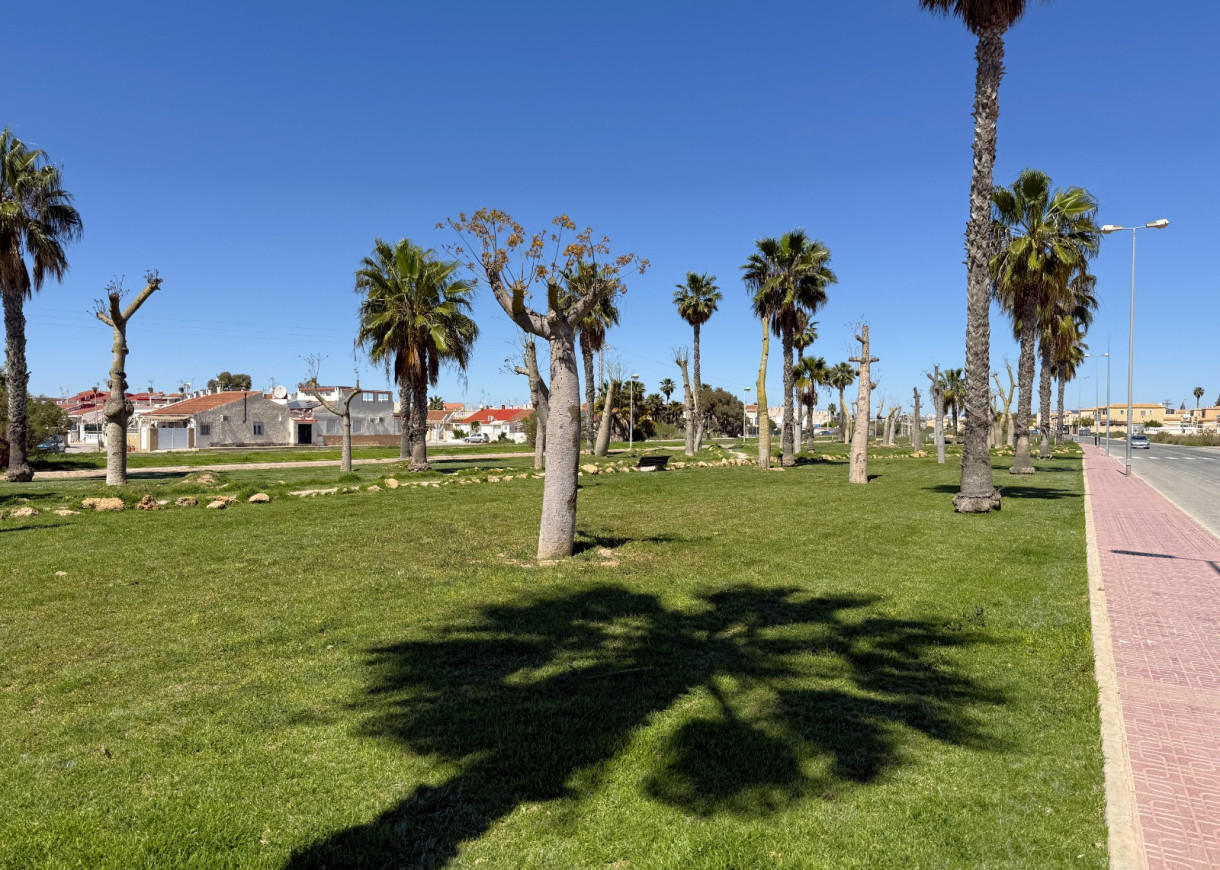 Long time Rental - Apartment - Torrevieja